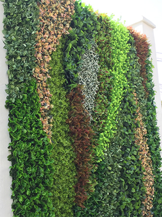 Muro verde vertical