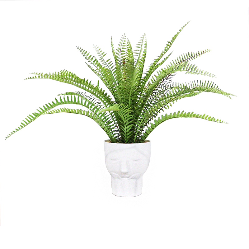artificial fern plant