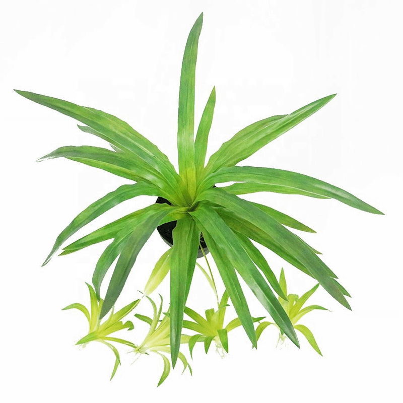 Faux spider plant