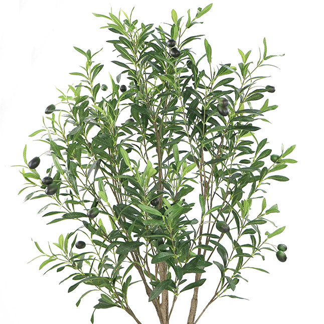 Faux olive Tree UV