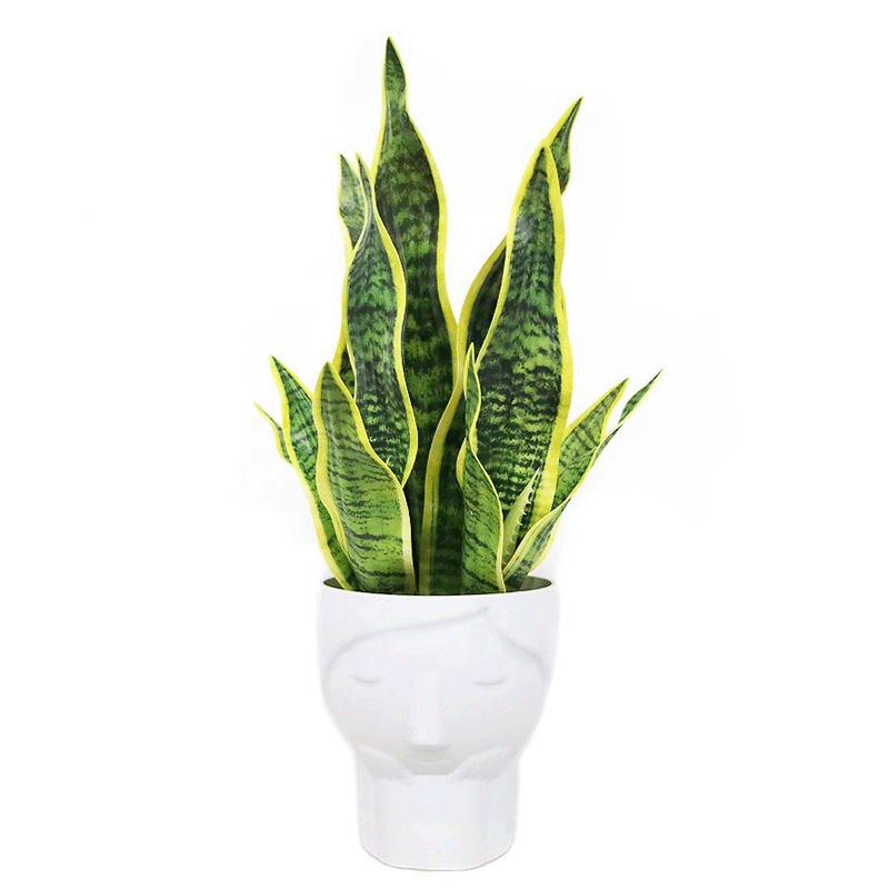 Artificial Plant Bonsai