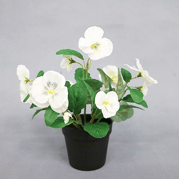 fake pansy bonsai