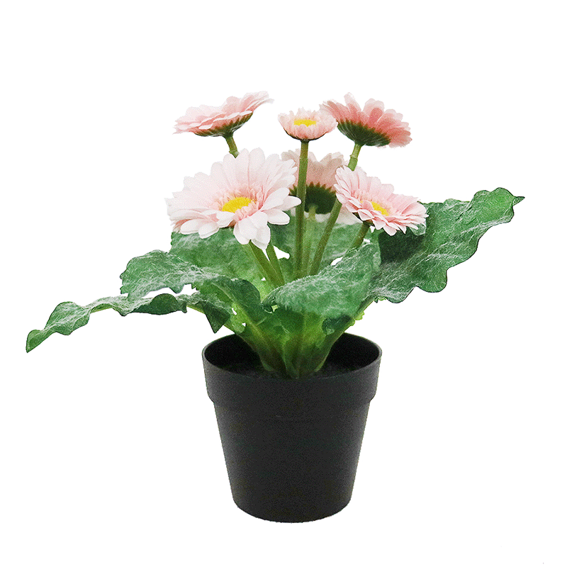 artificial daisy plant