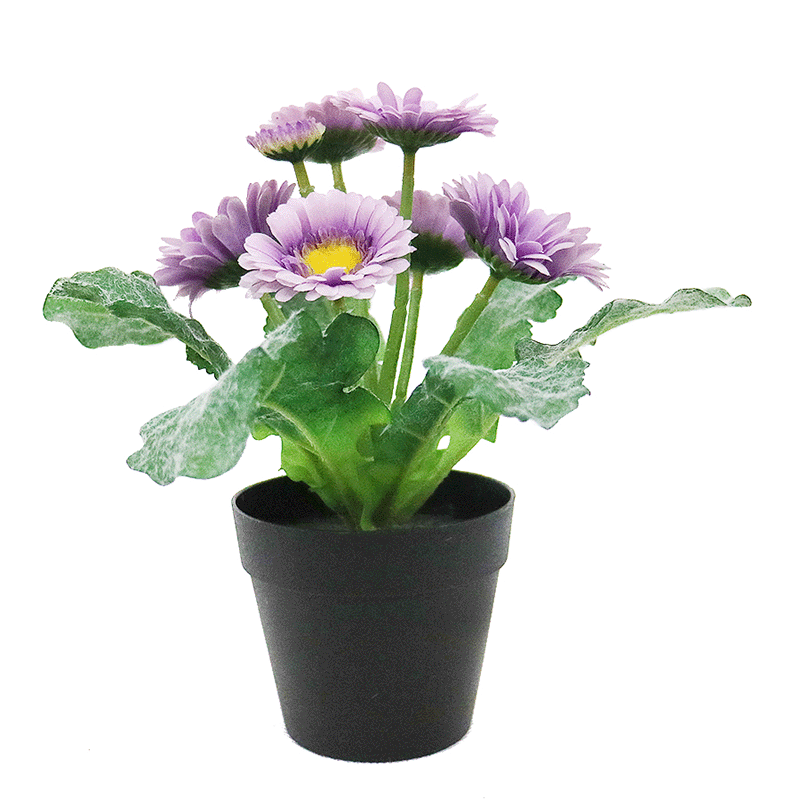 faux daisy plant