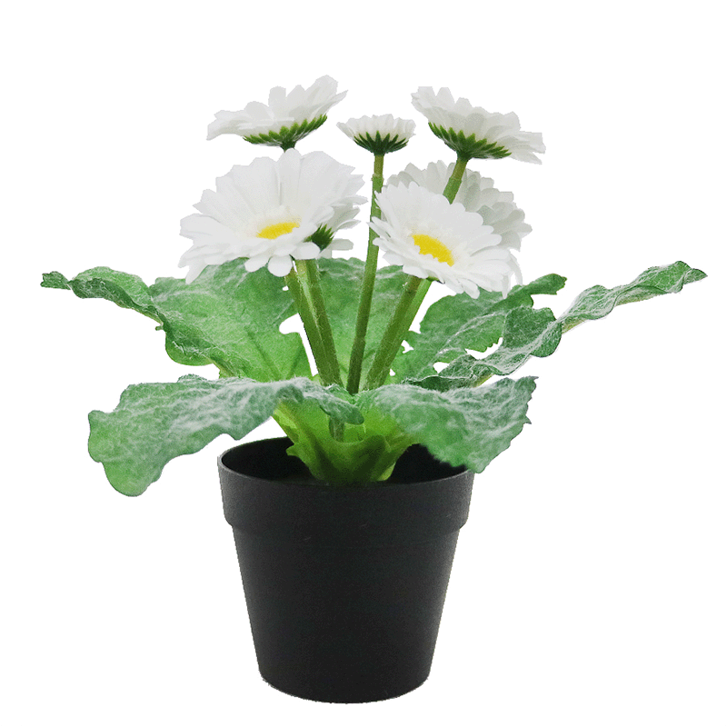 faux daisy bonsai