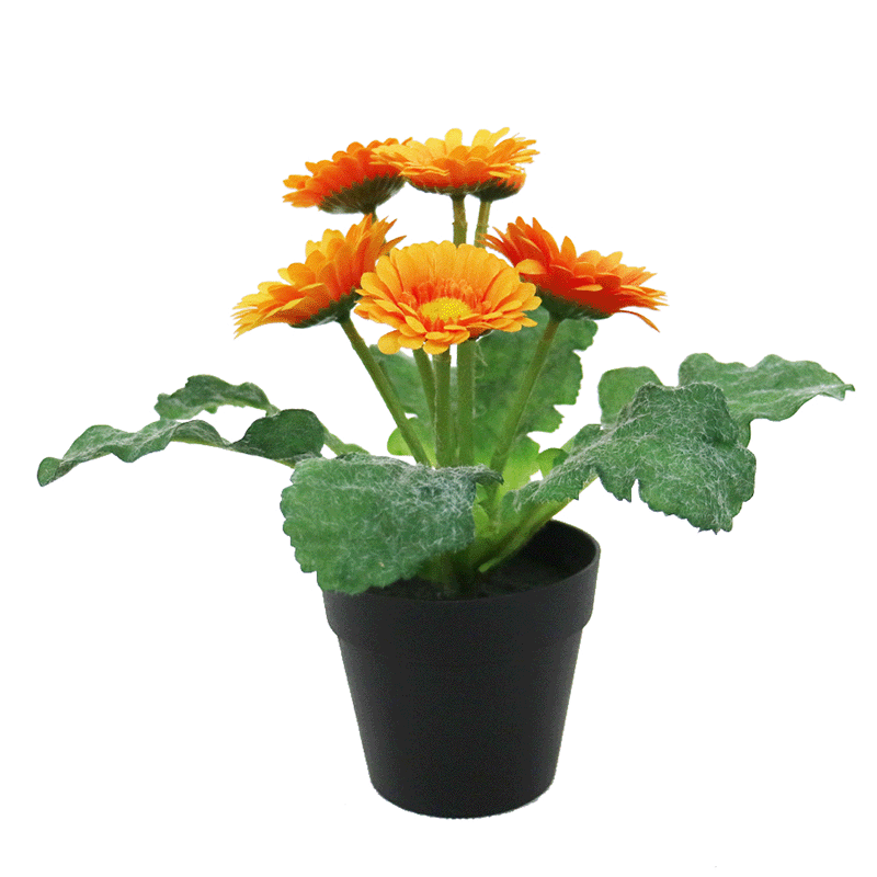 fake daisy bonsai