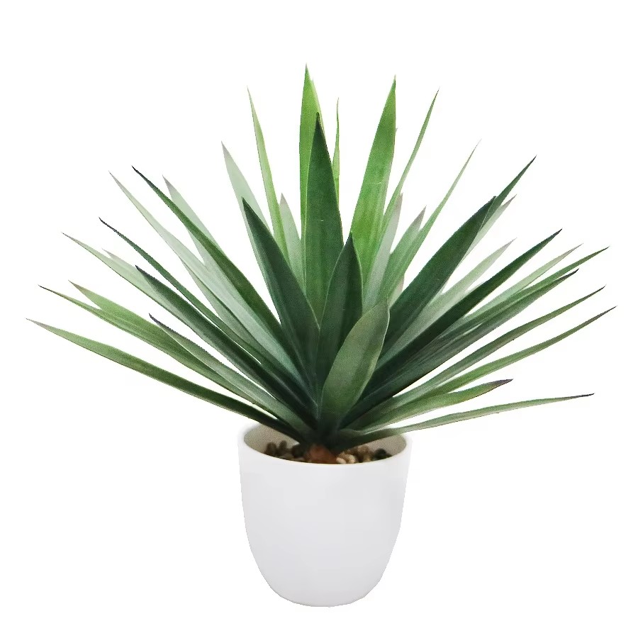 artificial sical plant