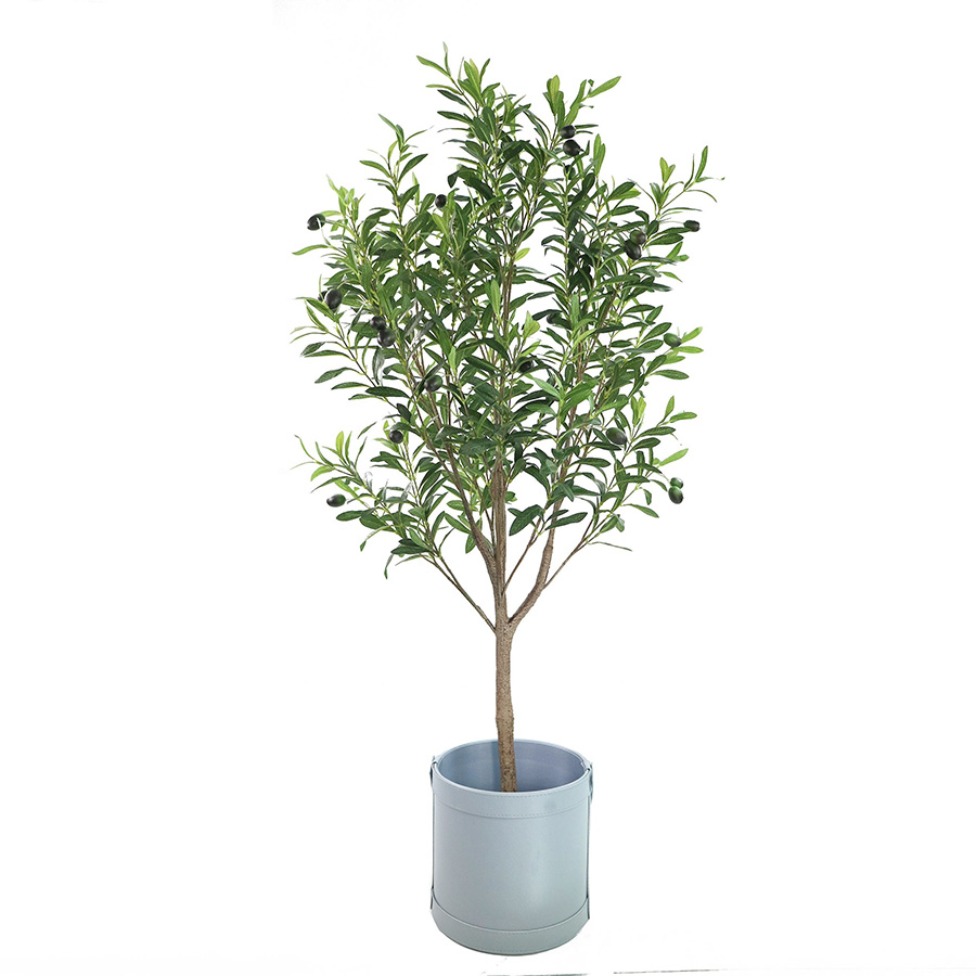 potted trees