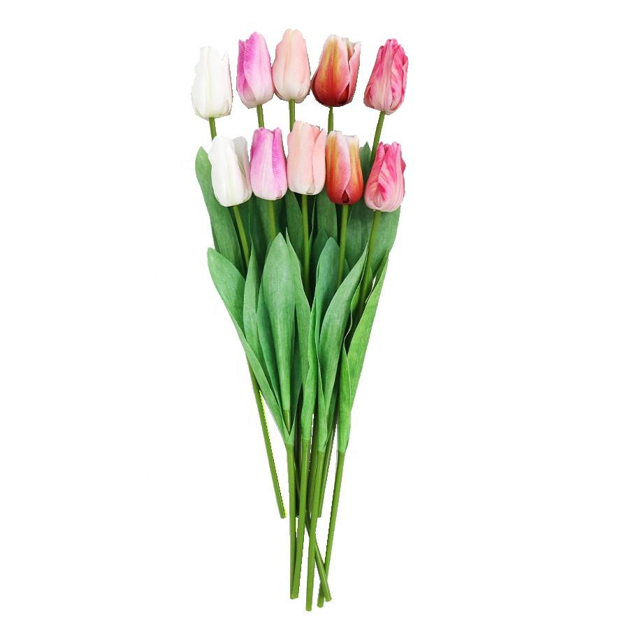 decorative tulip flower 