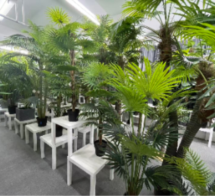 Por qué las plantas artificiales son perfectas para personas perezosas y ocupadas.