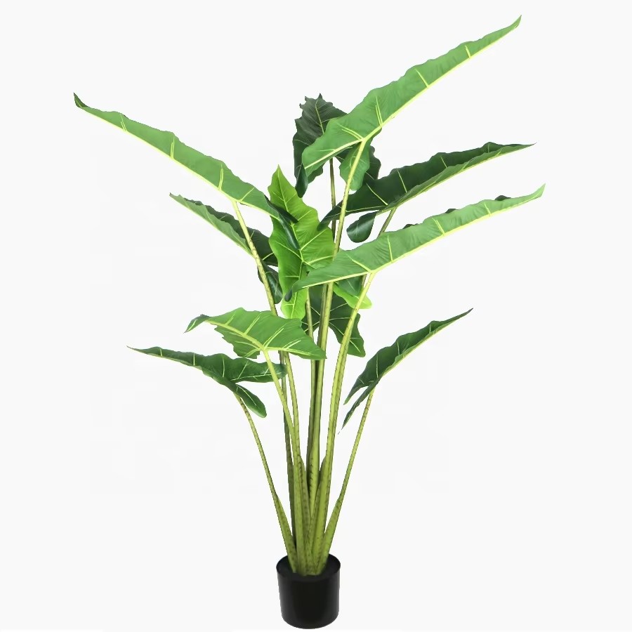 faux taro plant