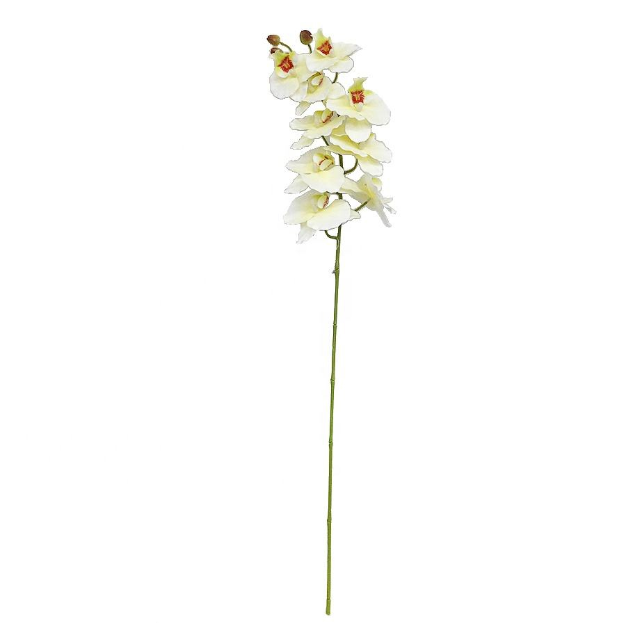 wholesale orchid stem