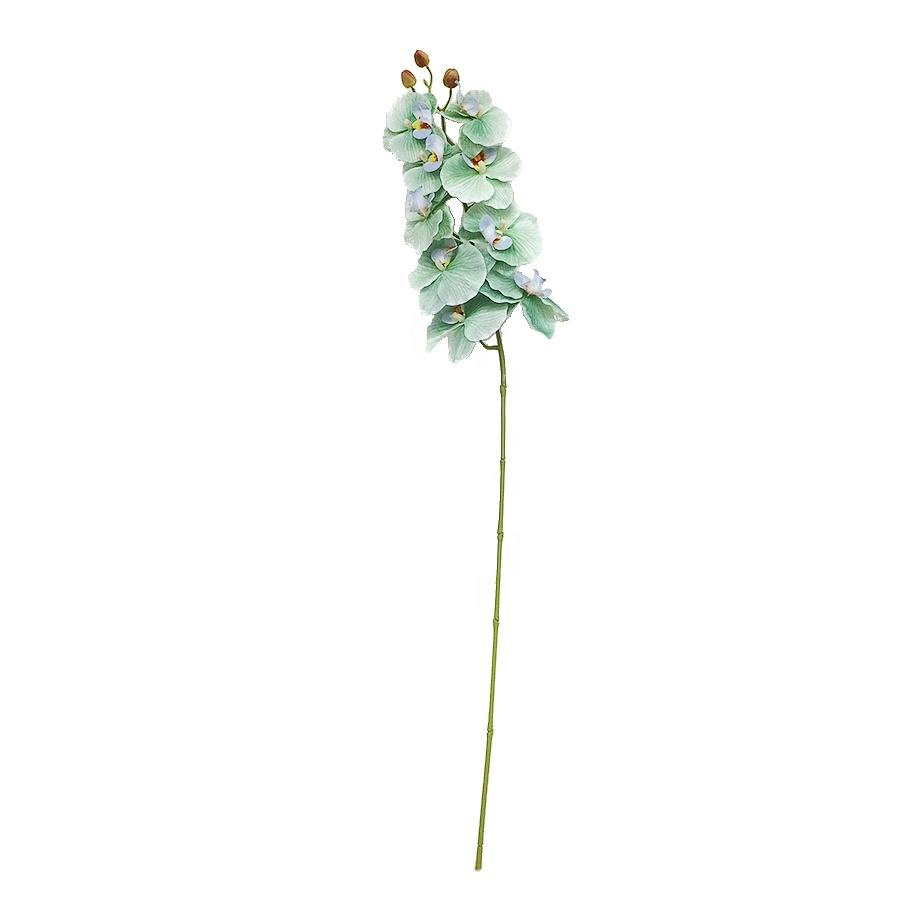 decorative orchid stem