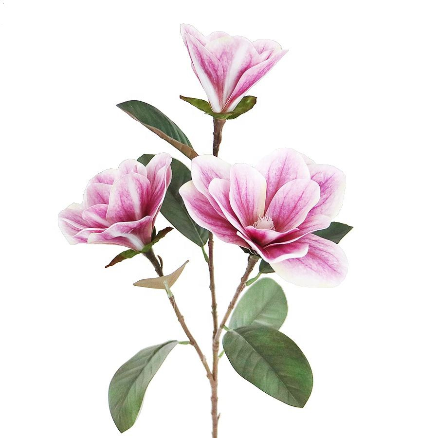 magnolia flower stem