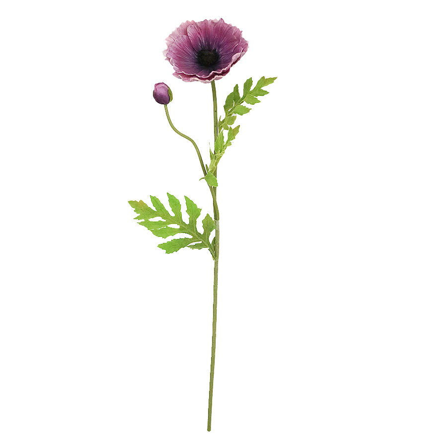 decorative poppy stem