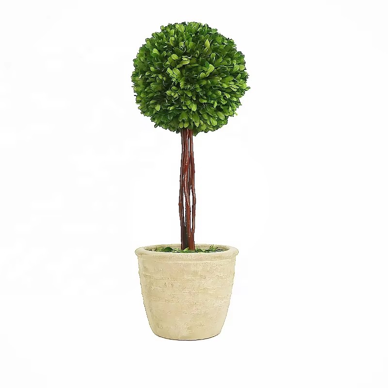 faux boxwood plant with pot