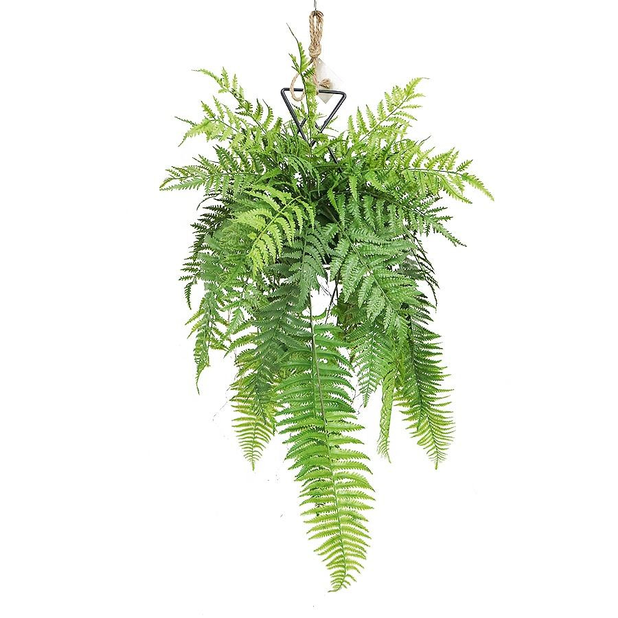 artificial fern hanging