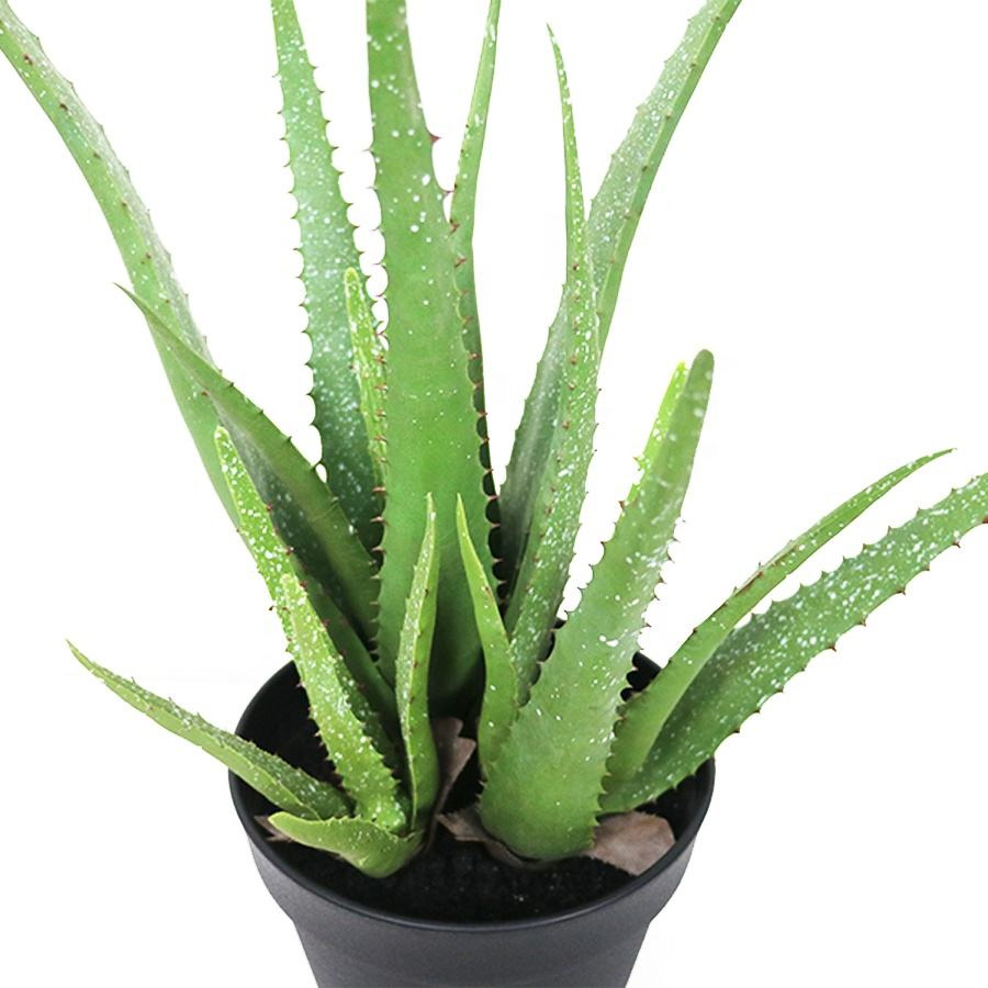 faux aloe plant