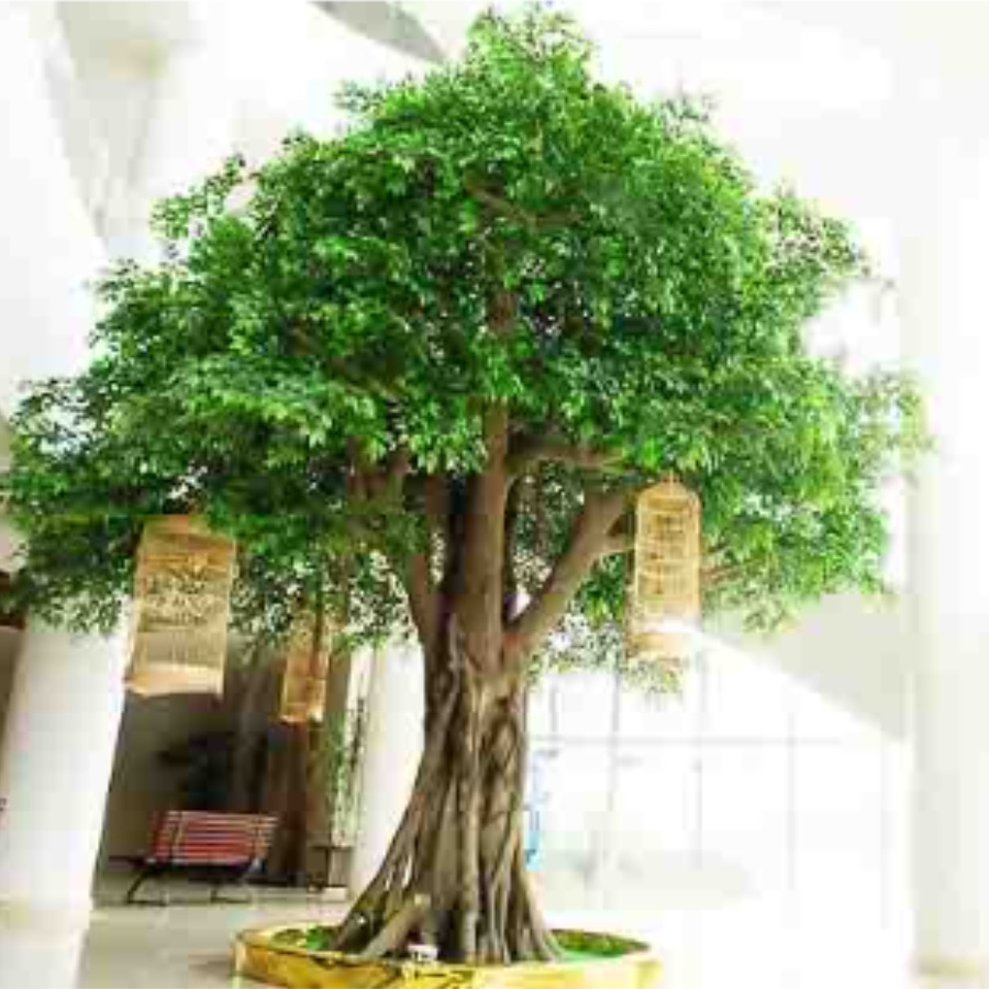 Por qué las plantas naturales no son adecuadas para todos los espacios: una mejor solución para la decoración comercial con plantas.