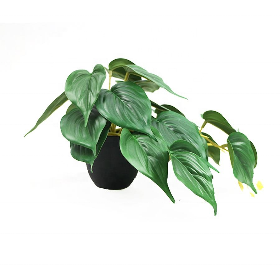 artificial pothos plant