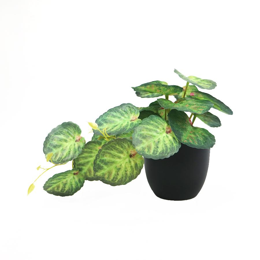 faux small bonsai