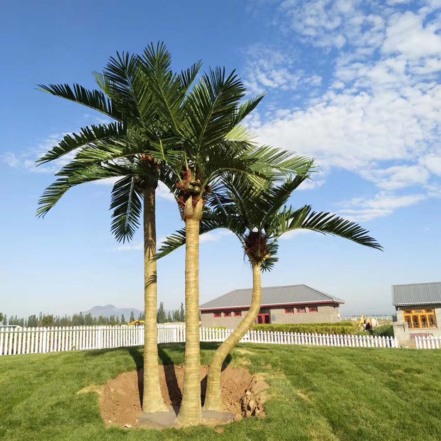 outdoor trees