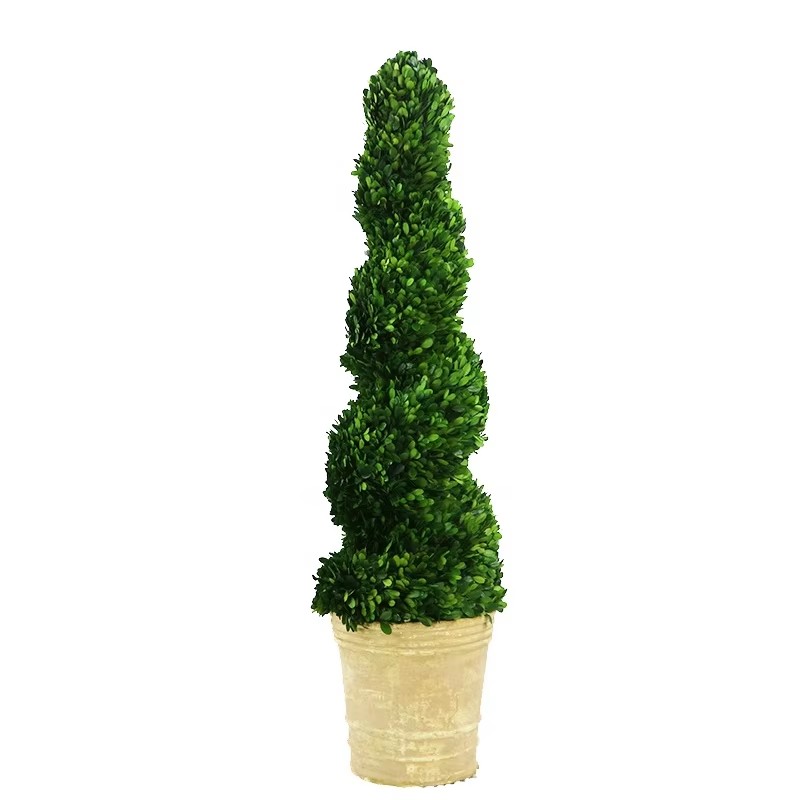 preserved boxwood ball