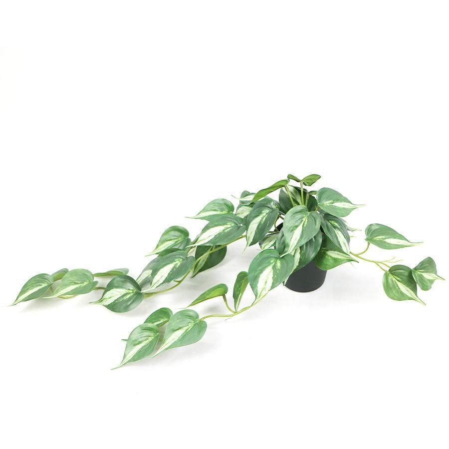 artificial pothos plant