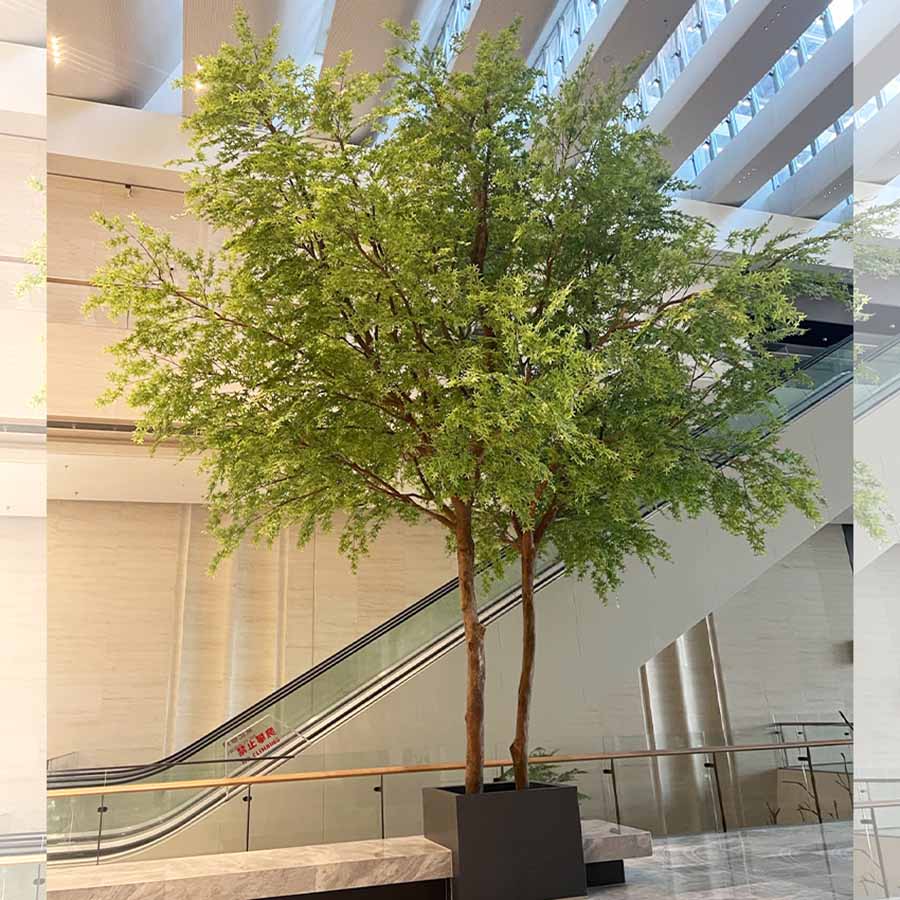 landscape tree
