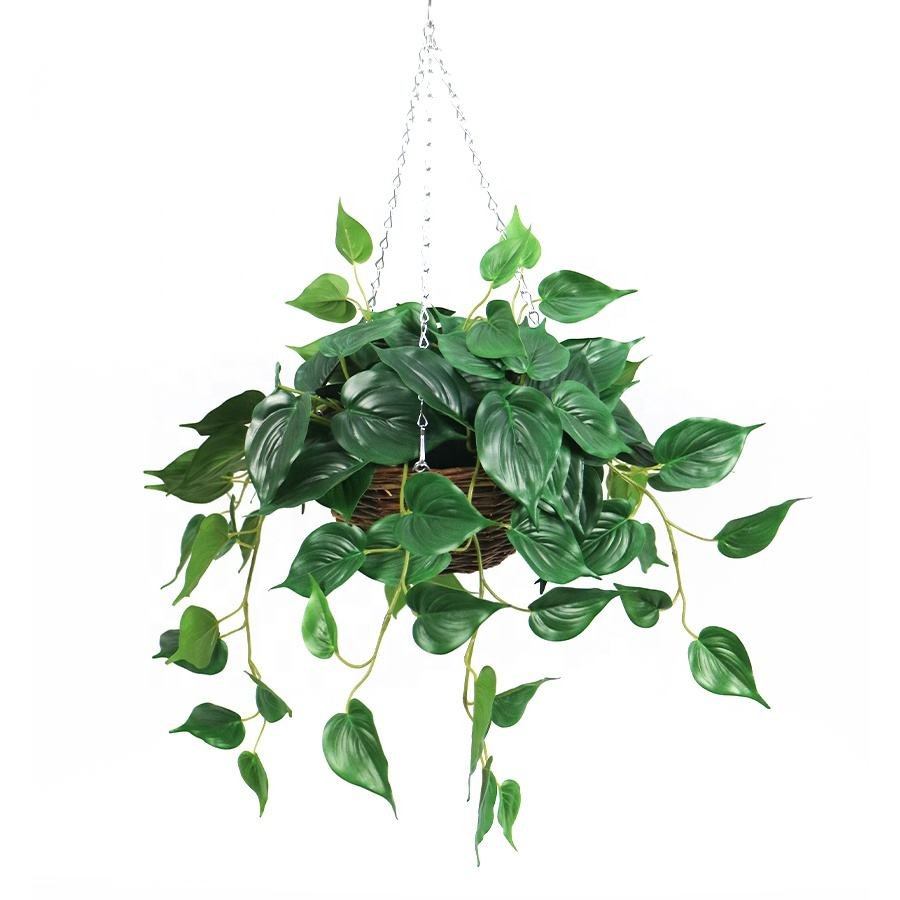 green hanging basket