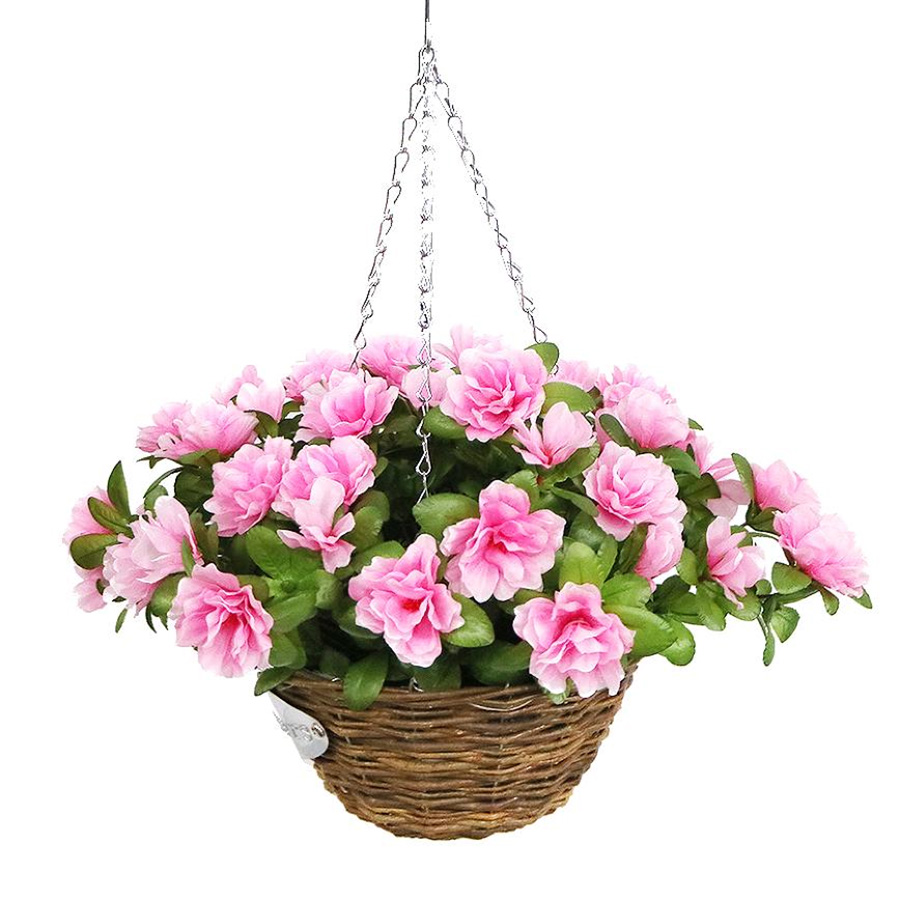 pink hanging flowers
