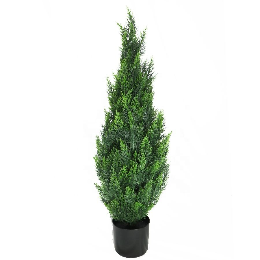90cm cypress tree