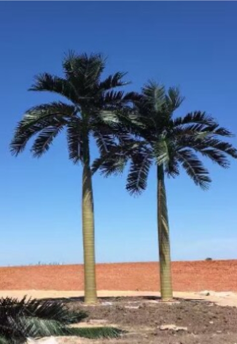 Proyecto de plantas artificiales para hotel de lujo finalizado | Estudio de caso completo de paisajismo interior y exterior