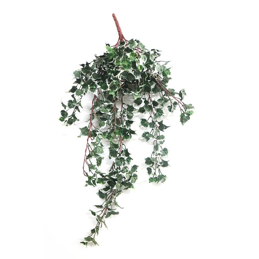 FR hanging plant