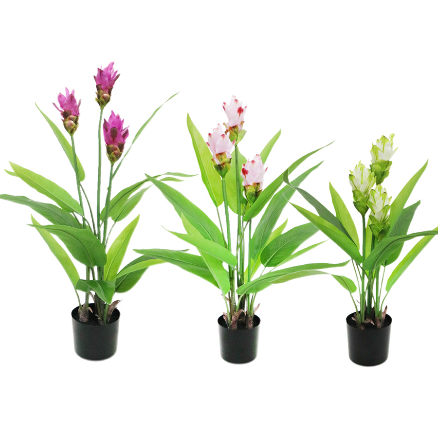 artificial curcuma plant artificial curcuma plant