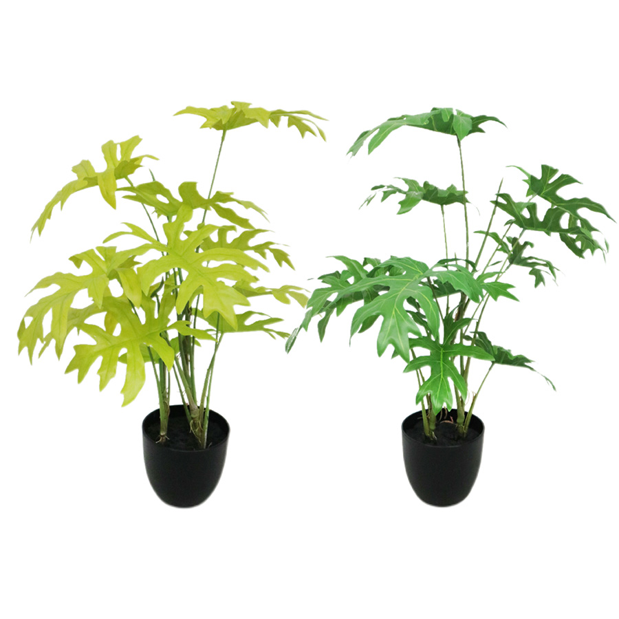 artificial philodendron plant