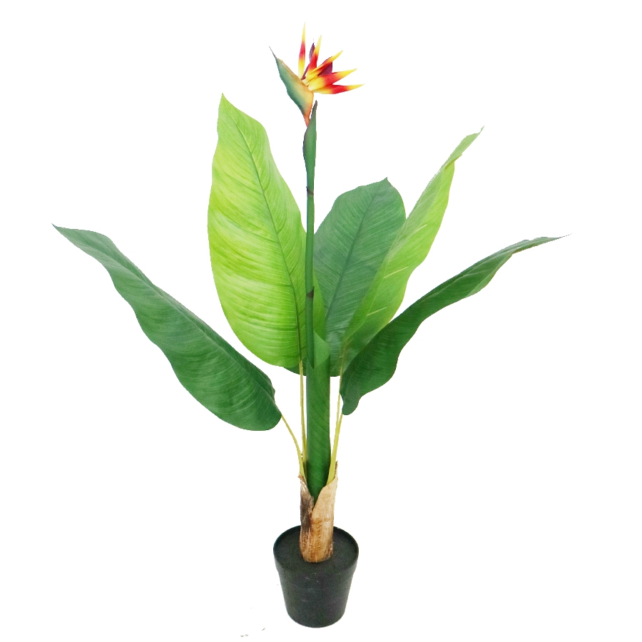 bird of paradise decor