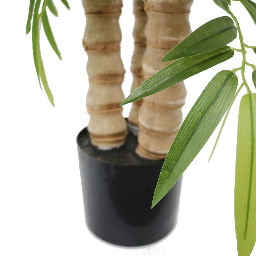 bamboo stem