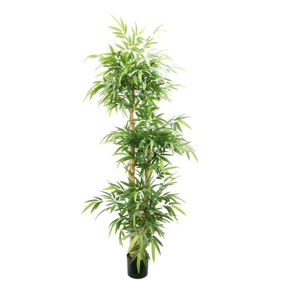 210cm Buddha bamboo tree
