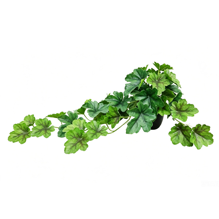 home decor plant