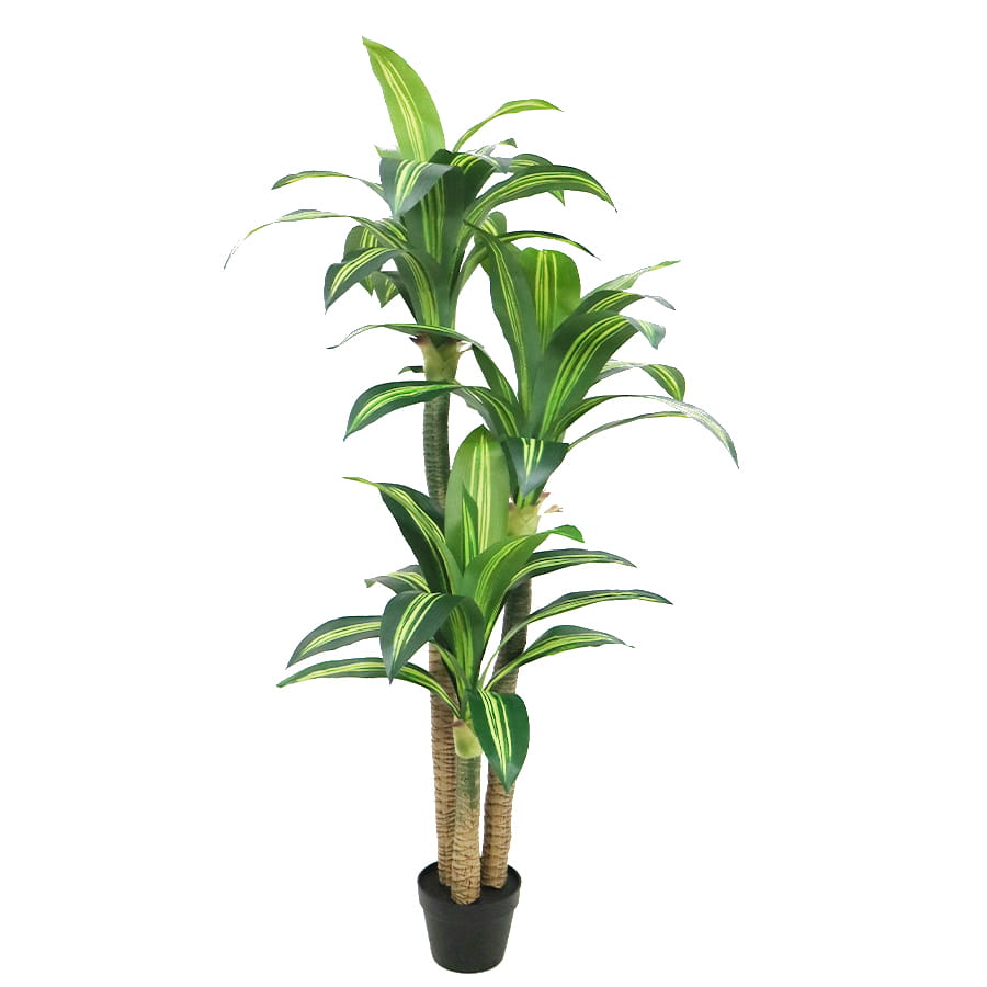 Artificial Dracaena Trees