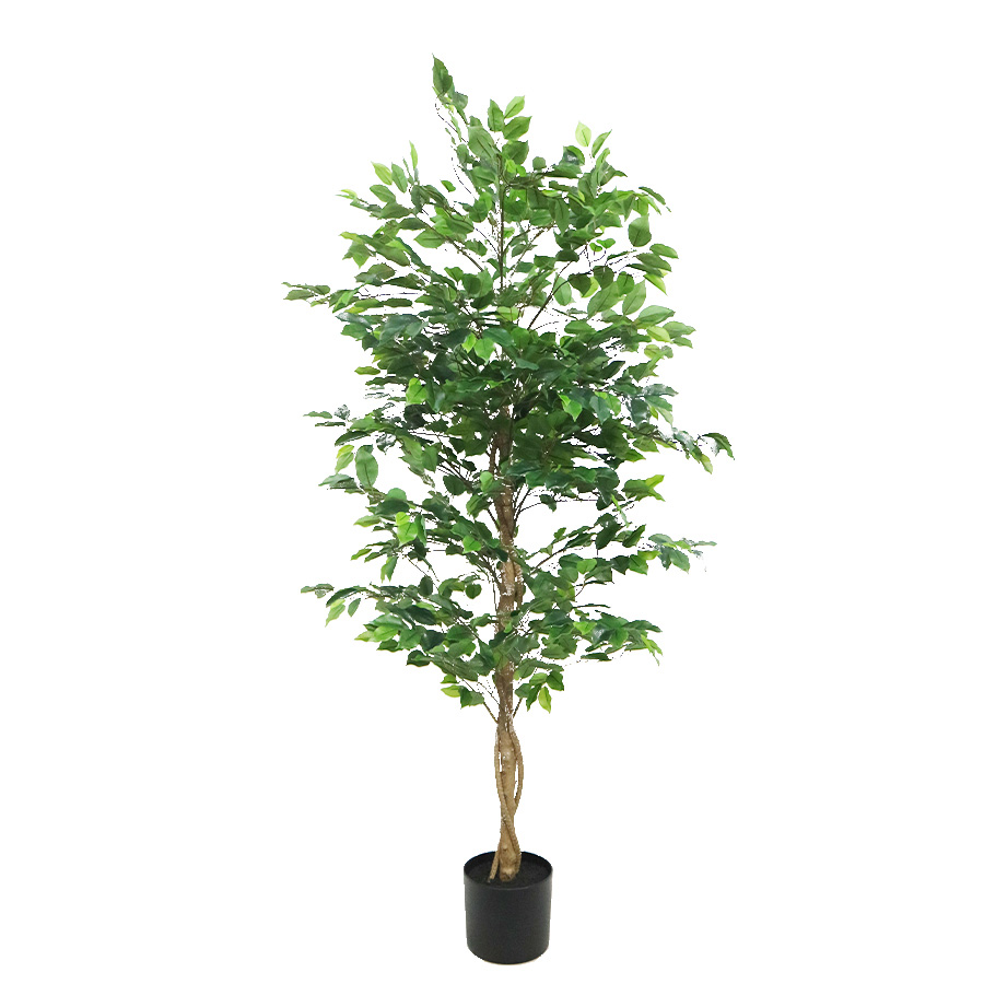 fake ficus tree
